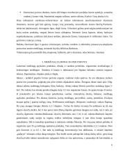 Eliminacija 7 puslapis