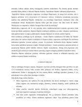 Eliminacija 9 puslapis