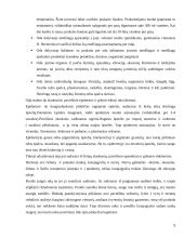 Eliminacija 10 puslapis