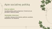 Kas yra socialinė politika? 2 puslapis