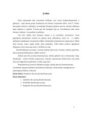 Elito poveikis demokratizacijai 2 puslapis