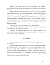 Elito poveikis demokratizacijai 5 puslapis