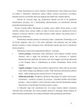 Elito poveikis demokratizacijai 8 puslapis