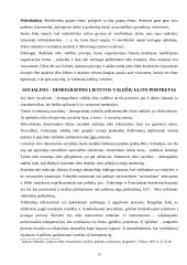 Elito vaidmuo Lietuvos politinėje sistemoje 13 puslapis