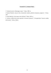 Elito vaidmuo Lietuvos politinėje sistemoje 16 puslapis