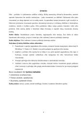 Elito vaidmuo Lietuvos politinėje sistemoje 4 puslapis