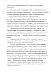 Emilio Durkheimo sociologija 5 puslapis