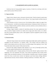 Emilis Durkheimas: religija 8 puslapis