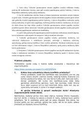 Alternatyvių ginčų sprendimo būdų egzamino užduotis 5 puslapis