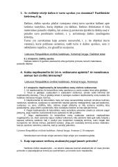 Civilinės teisės atsiskaitymas 2 puslapis