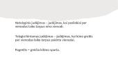 Mechaninis judėjimas, kūnų sąveikos dėsniai, jėgų rūšys 4 puslapis
