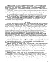 Epas ir jo žanrai. V. Hugo kūryba 4 puslapis