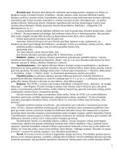 Epas ir jo žanrai. V. Hugo kūryba 5 puslapis