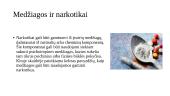 Narkotikų šalutinis poveikis 4 puslapis
