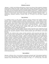 Epilepsija 2 puslapis