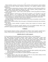Epilepsija 5 puslapis