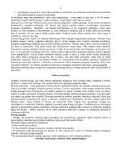 Epilepsija 6 puslapis
