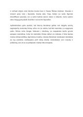 Kūrėjo paveikslas lietuvių literatūroje (V. Mykolaitis - Putinas, A. Škėma) 3 puslapis