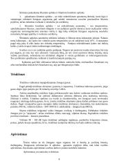 Patalpos įrengimas 8 puslapis
