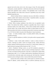 Minčių žemėlapis kaip kūrybiškumo mokymosi metodas  11 puslapis