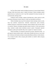 Minčių žemėlapis kaip kūrybiškumo mokymosi metodas  15 puslapis