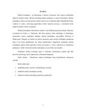 Minčių žemėlapis kaip kūrybiškumo mokymosi metodas  2 puslapis