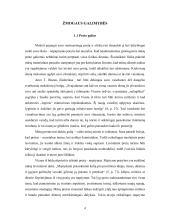 Minčių žemėlapis kaip kūrybiškumo mokymosi metodas  3 puslapis