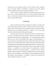 Minčių žemėlapis kaip kūrybiškumo mokymosi metodas  4 puslapis