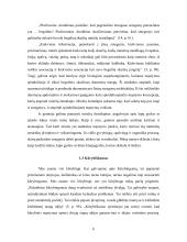 Minčių žemėlapis kaip kūrybiškumo mokymosi metodas  5 puslapis