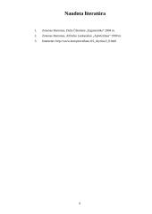 Biuro darbo vietos projektavimas 9 puslapis