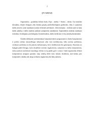 Ergonomika dirbant kompiuteriu 3 puslapis