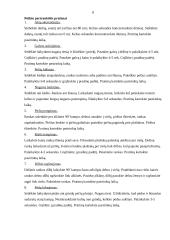 Ergonomika dirbant kompiuteriu 8 puslapis