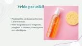 Verslo planas. Veido prausiklis 2 puslapis
