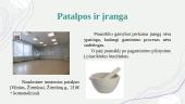 Verslo planas. Veido prausiklis 3 puslapis