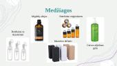 Verslo planas. Veido prausiklis 4 puslapis