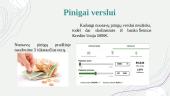 Verslo planas. Veido prausiklis 5 puslapis