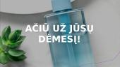 Verslo planas. Veido prausiklis 10 puslapis