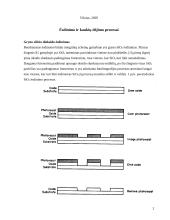 Ėsdinimo ir operacijų su kaukėmis procesai 2 puslapis