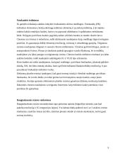 Ėsdinimo ir operacijų su kaukėmis procesai 9 puslapis