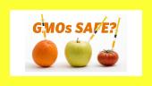 What is GMO? 4 puslapis