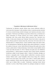 Demokratija ir diktatūra tarpukario laikotarpiu 13 puslapis