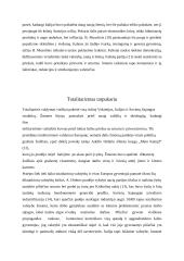 Demokratija ir diktatūra tarpukario laikotarpiu 14 puslapis