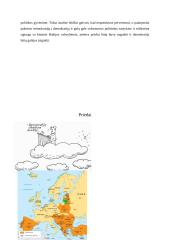 Demokratija ir diktatūra tarpukario laikotarpiu 16 puslapis