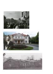 Demokratija ir diktatūra tarpukario laikotarpiu 17 puslapis