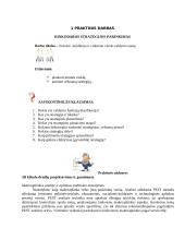 Smulkaus ir vidutinio verslo organizavimas. Praktinis darbas