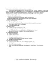 Smulkaus ir vidutinio verslo organizavimas. Praktinis darbas 3 puslapis