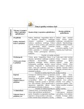 Smulkaus ir vidutinio verslo organizavimas. Praktinis darbas 9 puslapis