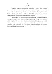 Etika ir socialinė aplinka turizmo organizacijoje 2 puslapis