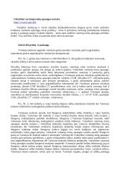 Verslo etikos žinių reikšmė verslo ir inovacijų vadybininkės, vadybininko veiklai 11 puslapis