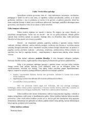 Verslo etikos žinių reikšmė verslo ir inovacijų vadybininkės, vadybininko veiklai 3 puslapis